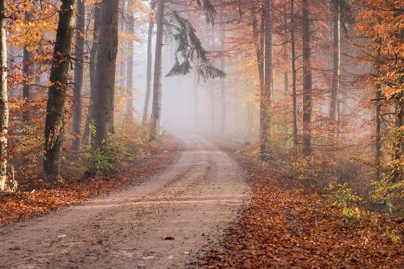 Wilderness Journeys